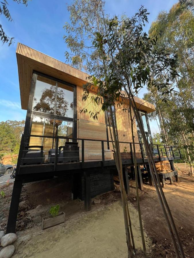 Tripanko Lodge & Bungalows Pichilemu Extérieur photo