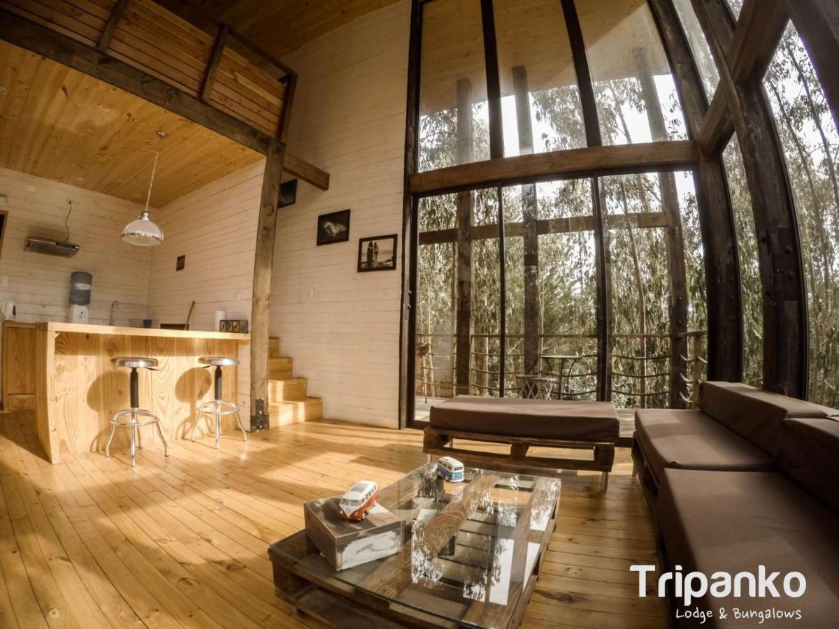 Tripanko Lodge & Bungalows Pichilemu Extérieur photo