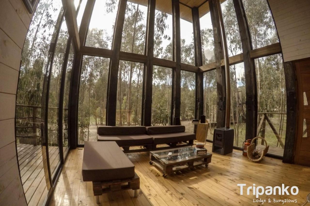 Tripanko Lodge & Bungalows Pichilemu Extérieur photo