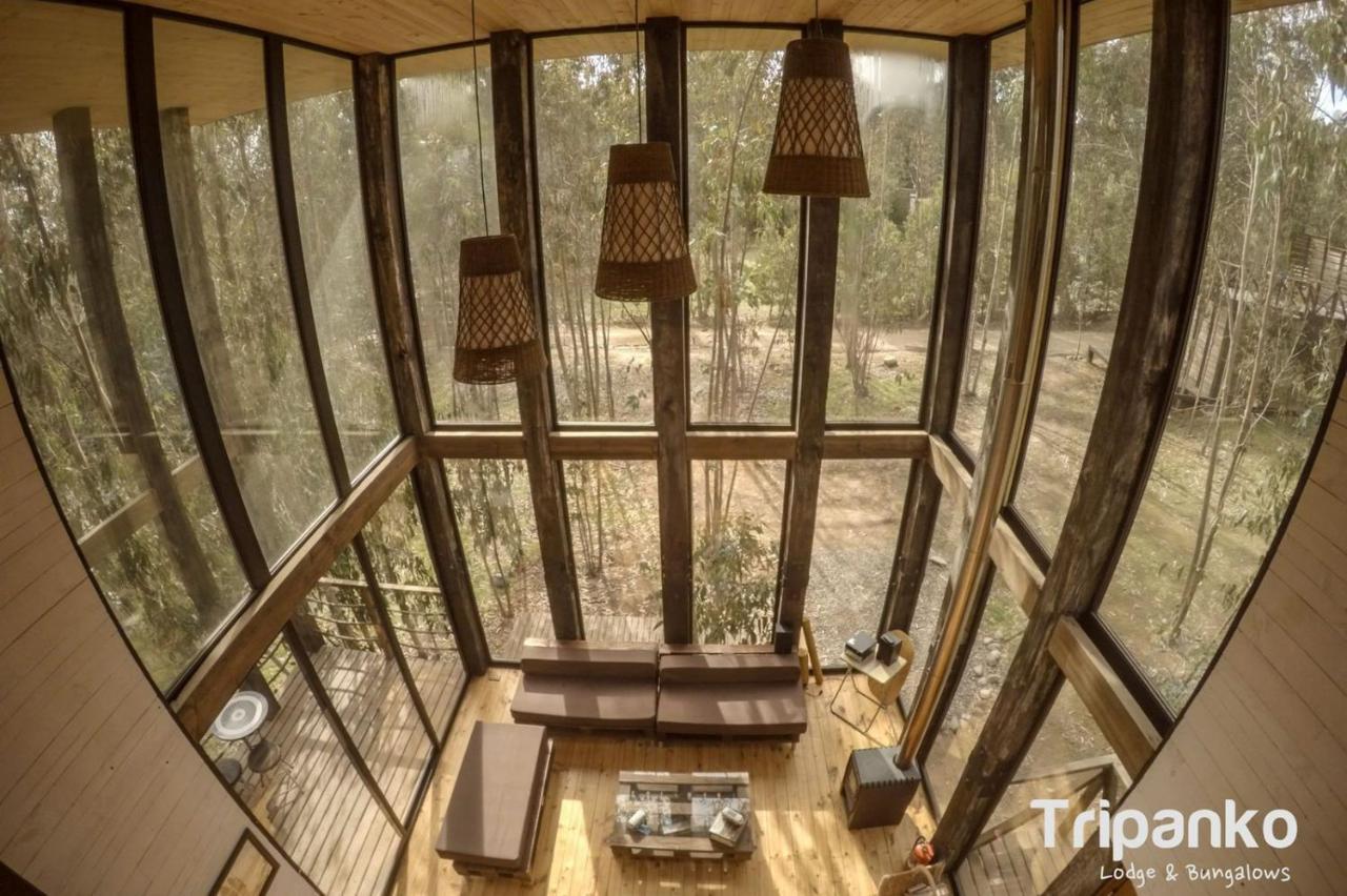 Tripanko Lodge & Bungalows Pichilemu Extérieur photo