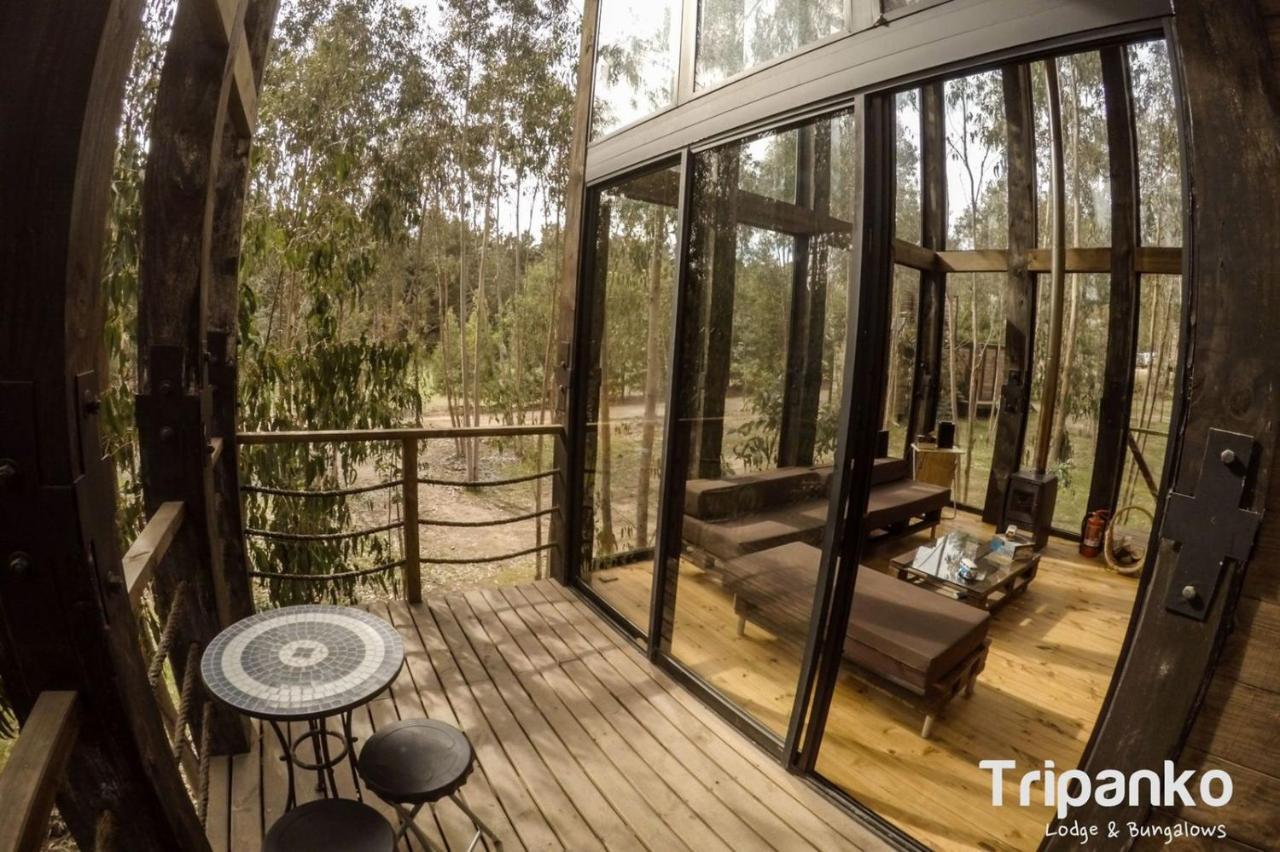 Tripanko Lodge & Bungalows Pichilemu Extérieur photo