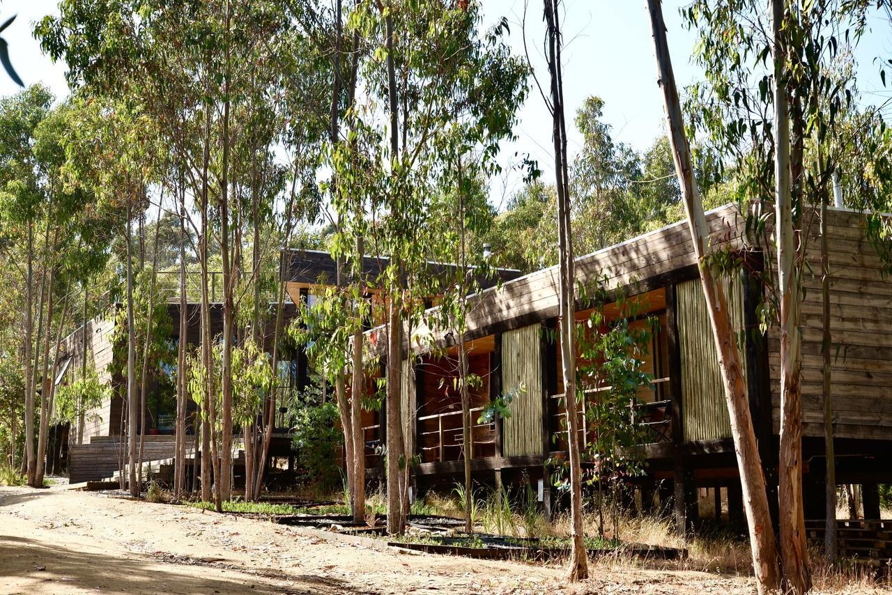 Tripanko Lodge & Bungalows Pichilemu Extérieur photo