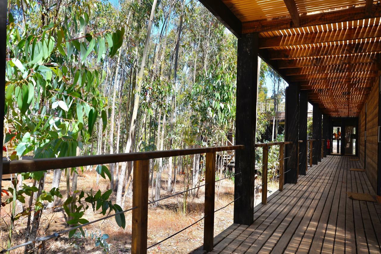 Tripanko Lodge & Bungalows Pichilemu Extérieur photo