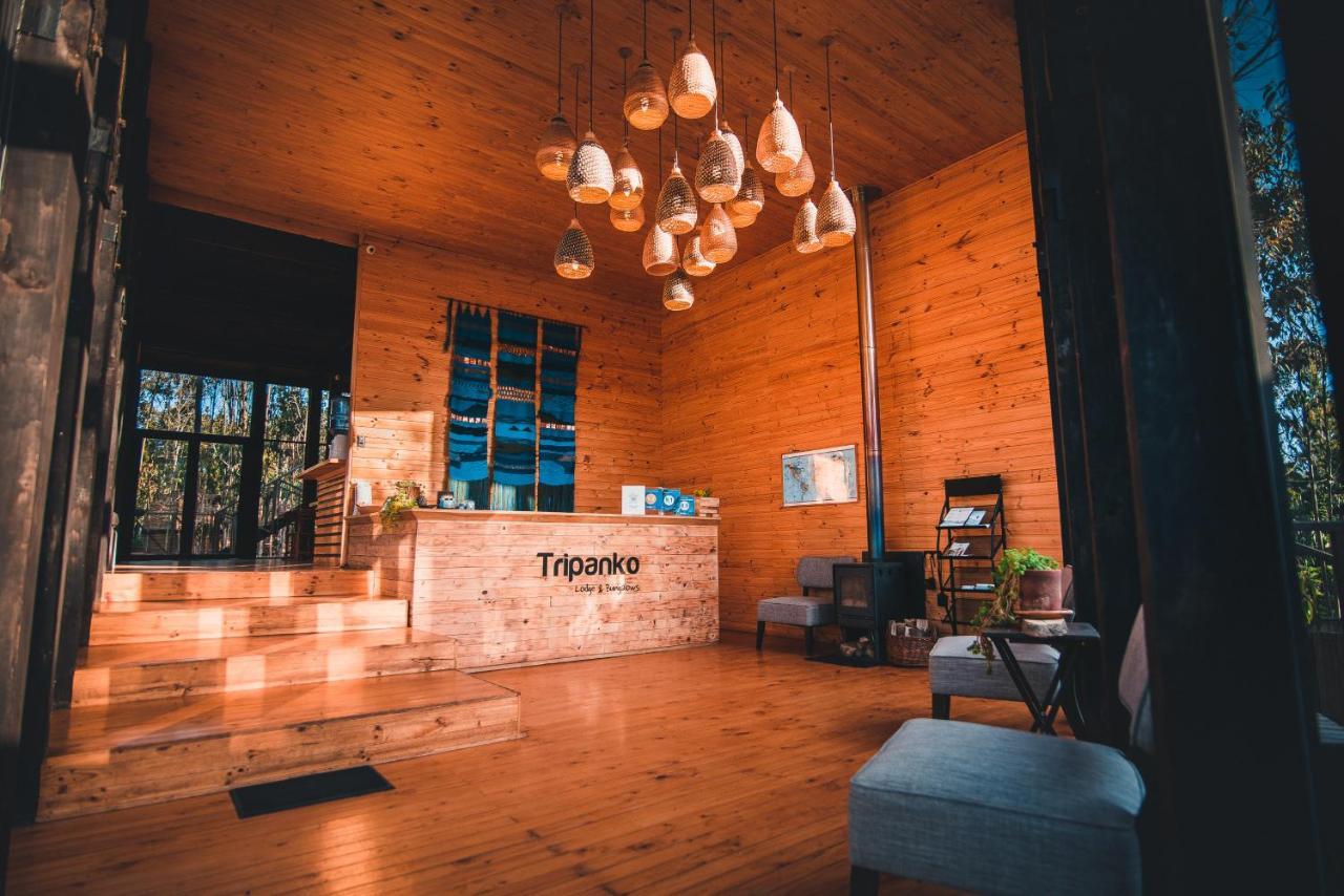 Tripanko Lodge & Bungalows Pichilemu Extérieur photo